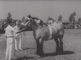 Zeeland agriculture days 